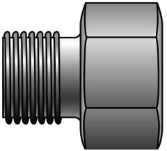 British Male Standard Pipe Parallel to Female Pipe NPTF